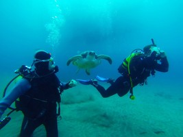 Espagne Tenerife – Cours PADI Open Water