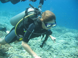 Indonésie Bali – Découverte de la plongée (Try Scuba) 1 jour