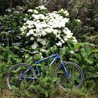Azoren São Miguel – Mountainbike-Tour Furnas 5h00