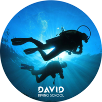 Spanien Málaga – David Fun Dive Unterwassererkundung