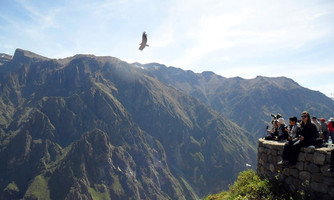 Pérou Arequipa – Colca Canyon Full Day 1 jour
