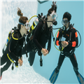 Groupe en immersion à Gran Canaria pendant le cours Open Water | Tauchgruppe bei der Ausbildung auf Gran Canaria – Clicktodo.