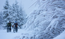 Aventura en fatbike, VTT y bicicleta en el Jura, Suiza, con Clicktodo.com. Descubre paisajes naturales únicos | مغامرة فات با